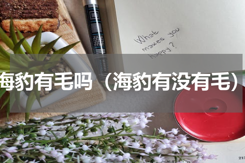 海豹有毛吗（海豹有没有毛）