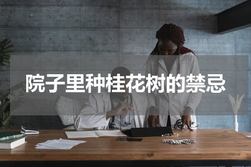 院子里种桂花树的禁忌