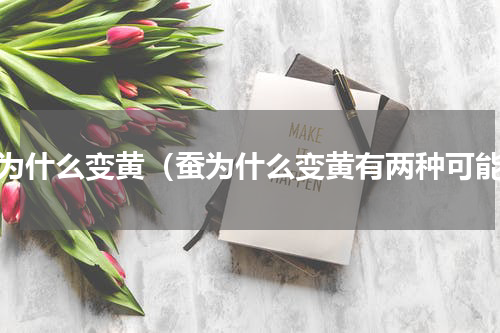 蚕为什么变黄（蚕为什么变黄有两种可能）