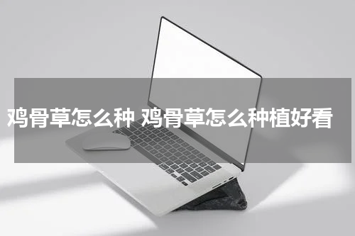 鸡骨草怎么种 鸡骨草怎么种植好看