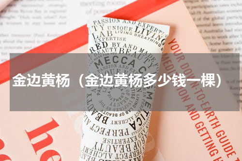 金边黄杨（金边黄杨多少钱一棵）