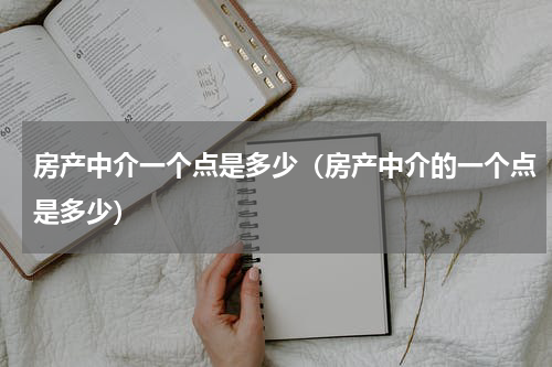 房产中介一个点是多少（房产中介的一个点是多少）
