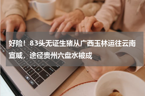 好险！83头无证生猪从广西玉林运往云南宣威，途径贵州六盘水被成