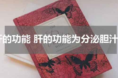 肝的功能 肝的功能为分泌胆汁