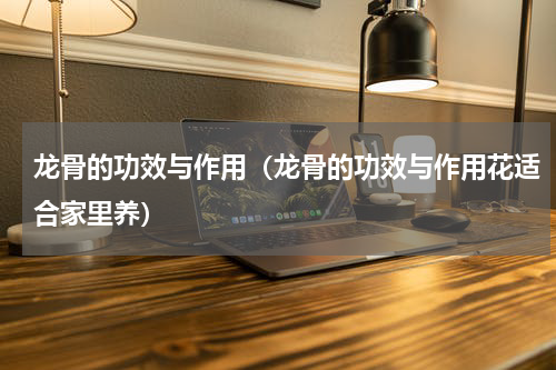 龙骨的功效与作用（龙骨的功效与作用花适合家里养）