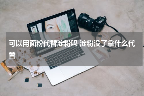 可以用面粉代替淀粉吗 淀粉没了拿什么代替
