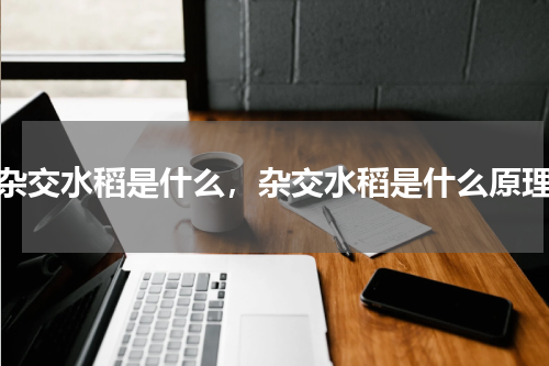 杂交水稻是什么，杂交水稻是什么原理