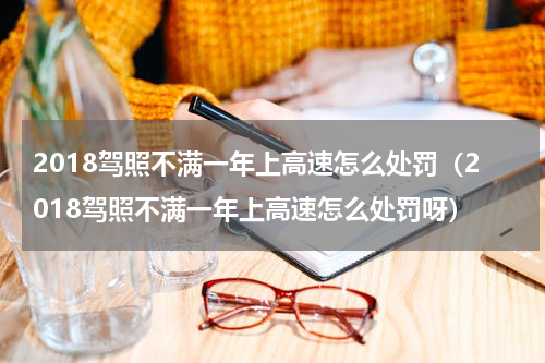 2018驾照不满一年上高速怎么处罚（2018驾照不满一年上高速怎么处罚呀）