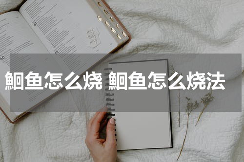 鮰鱼怎么烧 鮰鱼怎么烧法
