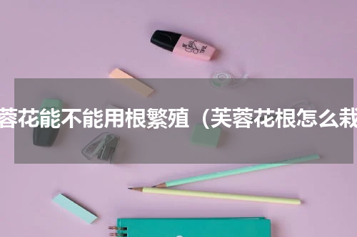 芙蓉花能不能用根繁殖（芙蓉花根怎么栽）