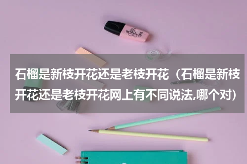 石榴是新枝开花还是老枝开花（石榴是新枝开花还是老枝开花网上有不同说法,哪个对）