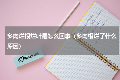 多肉烂根烂叶是怎么回事（多肉根烂了什么原因）