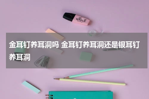 金耳钉养耳洞吗 金耳钉养耳洞还是银耳钉养耳洞