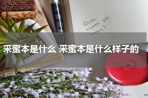 采蜜本是什么 采蜜本是什么样子的