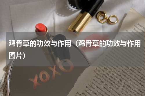 鸡骨草的功效与作用（鸡骨草的功效与作用图片）
