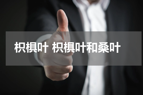 枳椇叶 枳椇叶和桑叶