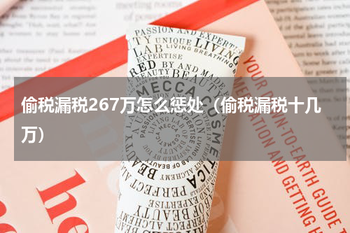 偷税漏税267万怎么惩处（偷税漏税十几万）