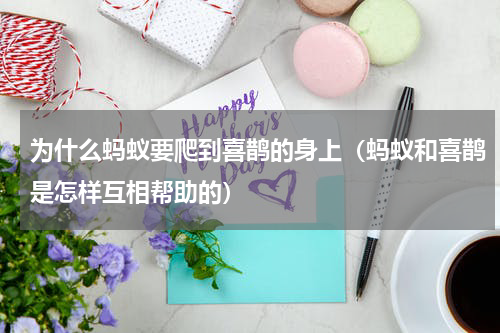 为什么蚂蚁要爬到喜鹊的身上（蚂蚁和喜鹊是怎样互相帮助的）