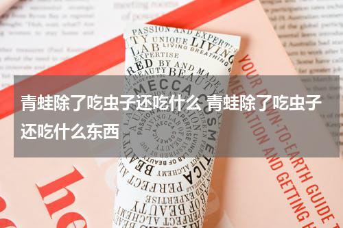 青蛙除了吃虫子还吃什么 青蛙除了吃虫子还吃什么东西