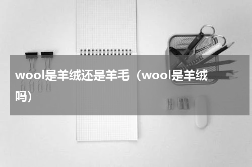 wool是羊绒还是羊毛（wool是羊绒吗）
