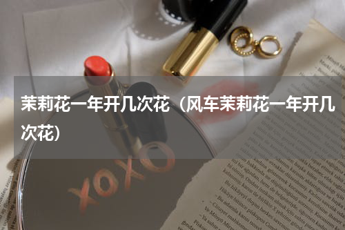 茉莉花一年开几次花（风车茉莉花一年开几次花）
