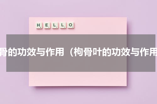 枸骨的功效与作用（枸骨叶的功效与作用）