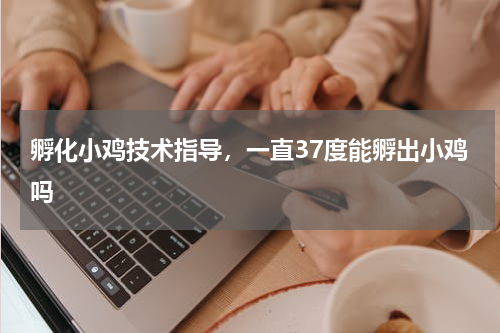 孵化小鸡技术指导，一直37度能孵出小鸡吗