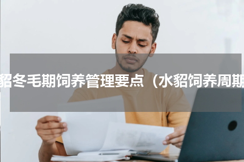 水貂冬毛期饲养管理要点（水貂饲养周期）