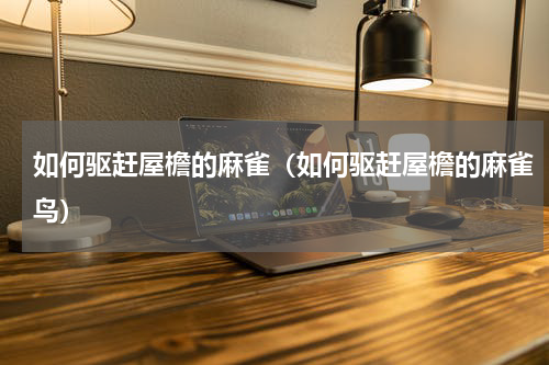 如何驱赶屋檐的麻雀（如何驱赶屋檐的麻雀鸟）