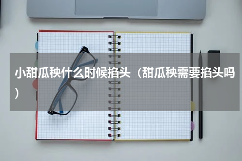 小甜瓜秧什么时候掐头（甜瓜秧需要掐头吗）