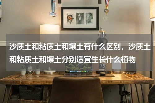 沙质土和粘质土和壤土有什么区别，沙质土和粘质土和壤土分别适宜生长什么植物