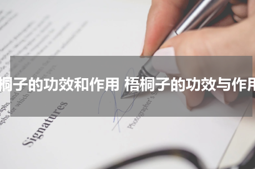 梧桐子的功效和作用 梧桐子的功效与作用
