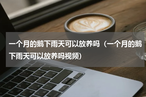 一个月的鹅下雨天可以放养吗（一个月的鹅下雨天可以放养吗视频）