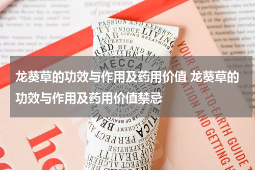 龙葵草的功效与作用及药用价值 龙葵草的功效与作用及药用价值禁忌