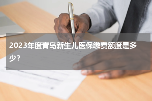 2023年度青岛新生儿医保缴费额度是多少？