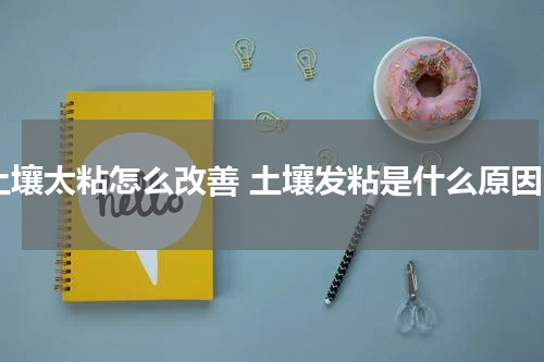 土壤太粘怎么改善 土壤发粘是什么原因