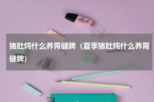 猪肚炖什么养胃健脾（夏季猪肚炖什么养胃健脾）
