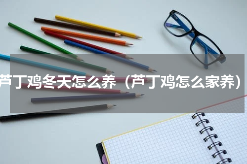 芦丁鸡冬天怎么养（芦丁鸡怎么家养）