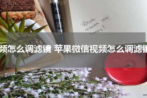 视频怎么调滤镜 苹果微信视频怎么调滤镜