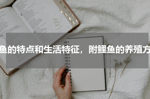 鲤鱼的特点和生活特征，附鲤鱼的养殖方法