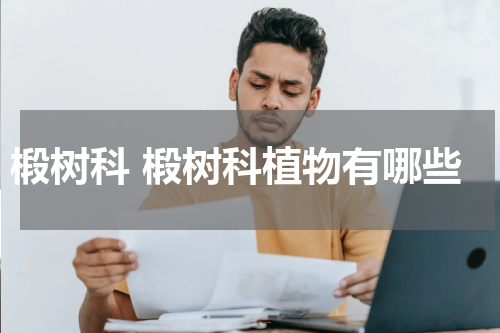 椴树科 椴树科植物有哪些