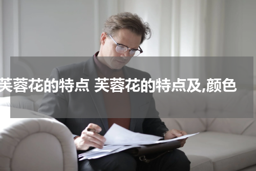 芙蓉花的特点 芙蓉花的特点及,颜色