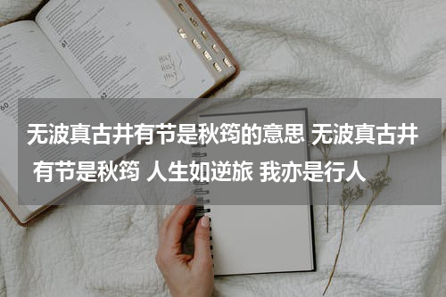 无波真古井有节是秋筠的意思 无波真古井 有节是秋筠 人生如逆旅 我亦是行人
