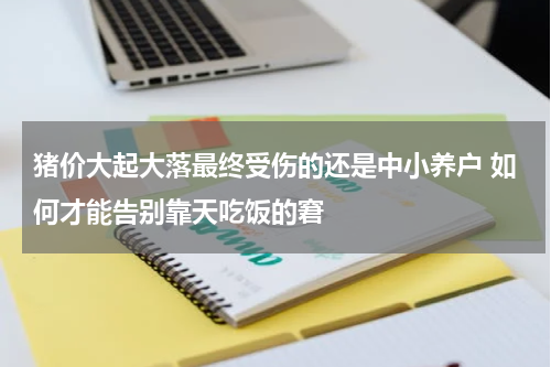 猪价大起大落最终受伤的还是中小养户 如何才能告别靠天吃饭的窘