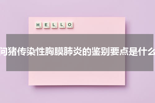 请问猪传染性胸膜肺炎的鉴别要点是什么？