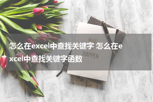 怎么在excel中查找关键字 怎么在excel中查找关键字函数