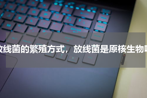 放线菌的繁殖方式，放线菌是原核生物吗