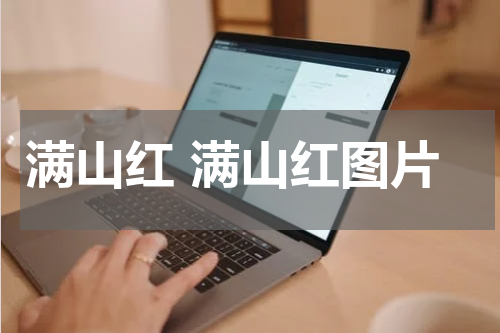 满山红 满山红图片