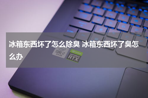 冰箱东西坏了怎么除臭 冰箱东西坏了臭怎么办