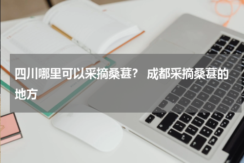 四川哪里可以采摘桑葚？ 成都采摘桑葚的地方